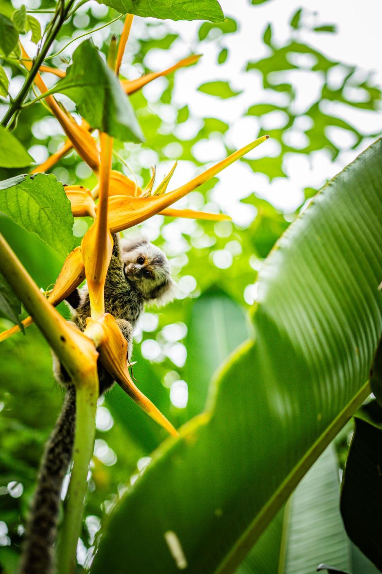 Canto Do Ile Dive & Lodge Paraty Ngoại thất bức ảnh